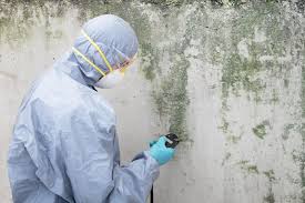  Briarcliff Manor, NY Mold Inspection Pros